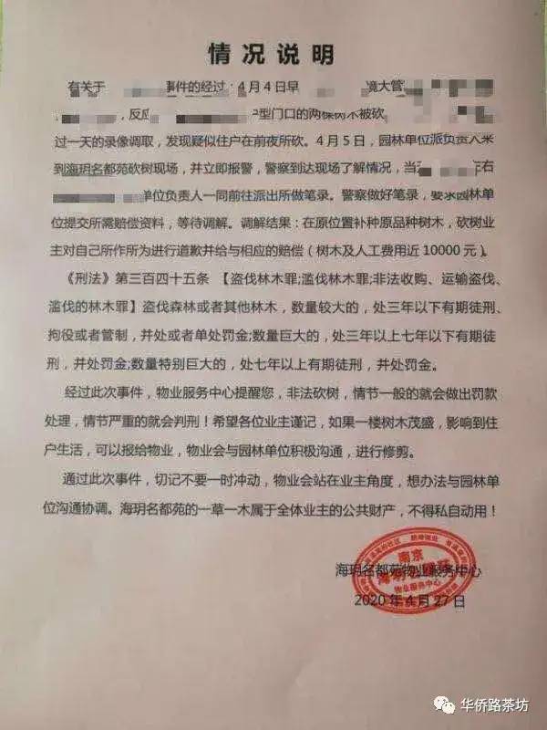 罚款1万，南京豪宅业主夜里狂砍两棵树，物业紧急报警