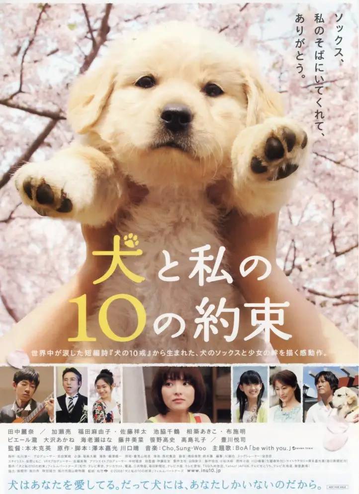 全球10部值得一看的狗狗电影